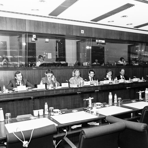 Fotogrāfija 8: Press conference of the Committee on petitions in April 1990 in Brussels