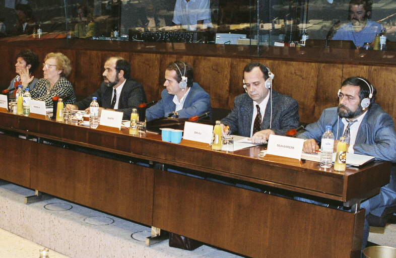 Fotografie 1: Meeting of the  Political Affairs Committee  in Strasbourg in September 1991.