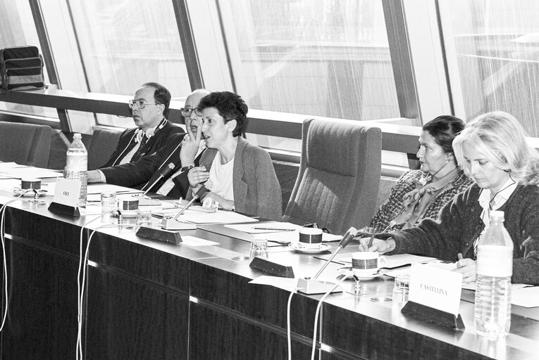 Meeting at the European Parliament in Strasbourg