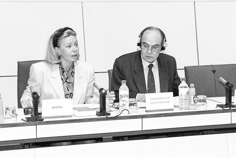 Fotografie 3: Meeting at the European Parliament in Brussels