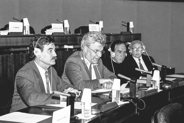 Meeting at the European Parliament in Strasbourg