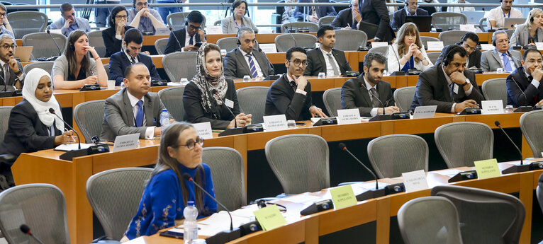 Снимка 9: Meeting of the EP Delegation for Relations with the Arab Peninsula -Exchange of views with the Spokesperson for coalition forces in Yemen, on the current situation in Yemen