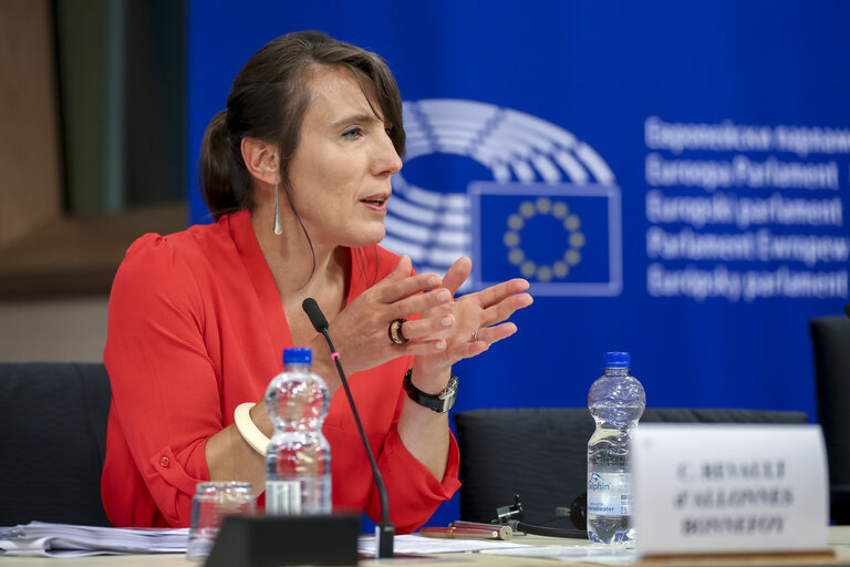 Fotografie 8: EP Press conference Adoption of the report on the Euro-Road Charging Directive