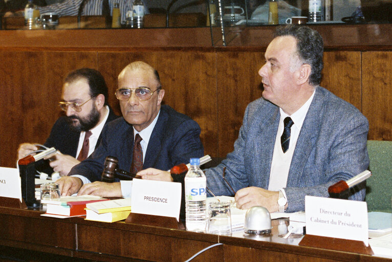 Foto 7: Meeting at the EP in Strasbourg - February 1991