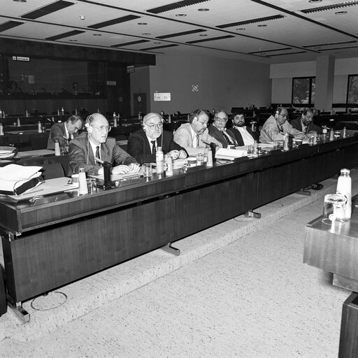 Foto 14: Meeting at the European Parliament in Brussels