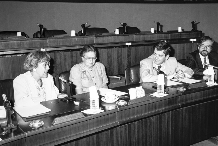 Fotografija 2: Meeting at the European Parliament in Strasbourg