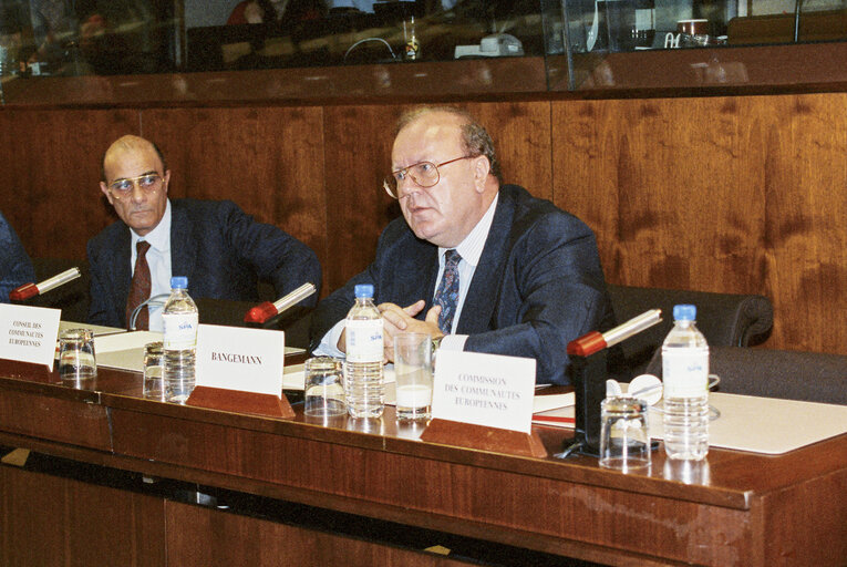 Meeting at the European Parliament in Strasbourg