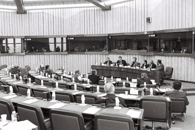 Fotografi 3: Meeting with the Soviet Ambassador at the EP in Strasbourg - February 1991