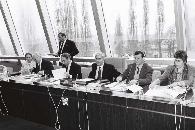 Fotografija 5: Meeting at the EP in Strasbourg - February 1991