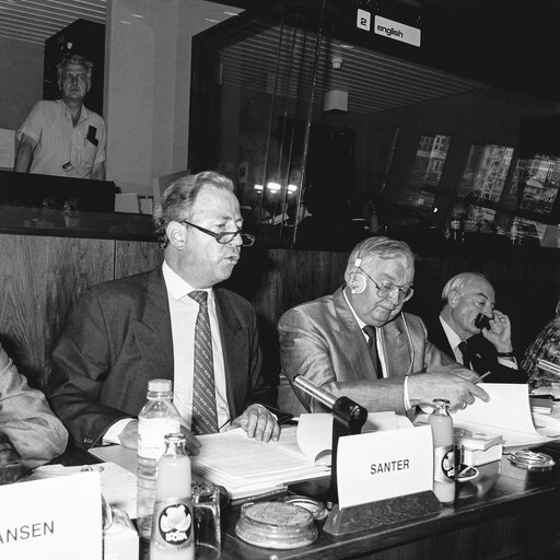 Meeting at the European Parliament in Brussels