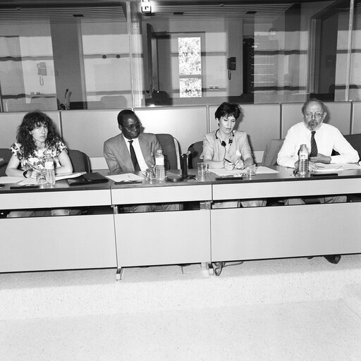 Foto 5: Meeting at the European Parliament in Brussels