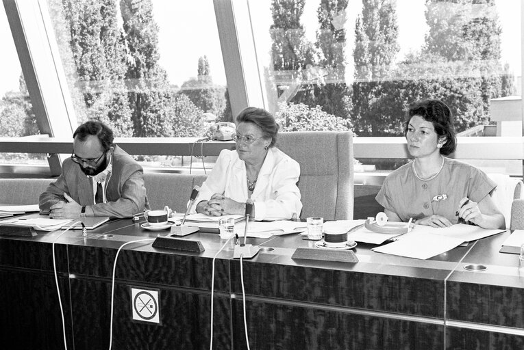 Meeting at the European Parliament in Strasbourg