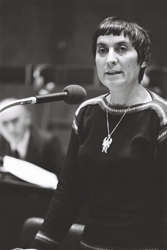 Commission Jenkins in plenary session in Luxembourg on January 1977