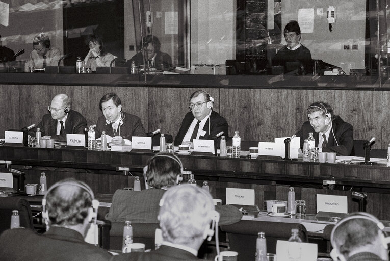 Fotografija 12: Meeting at the EP in Strasbourg.