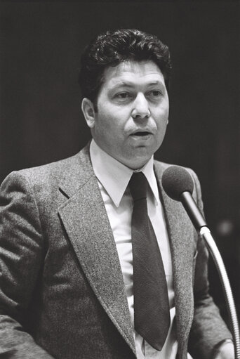 Commission Jenkins in plenary session in Luxembourg on January 1977