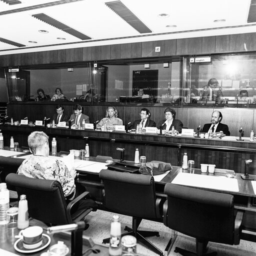 Fotografie 10: Press conference of the Committee on petitions in April 1990 in Brussels