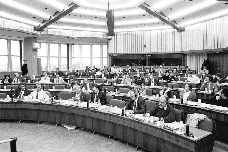 Fotografija 4: Meeting at the European Parliament in Strasbourg