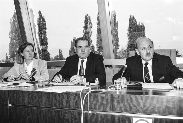 Fotografie 5: MEP Derek PRAG with guests in Strasbourg in April 1990