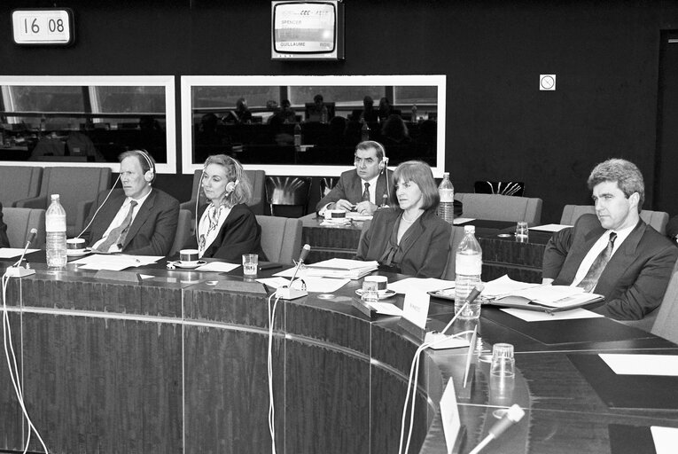 Fotografia 6: Meeting at the European Parliament in Strasbourg