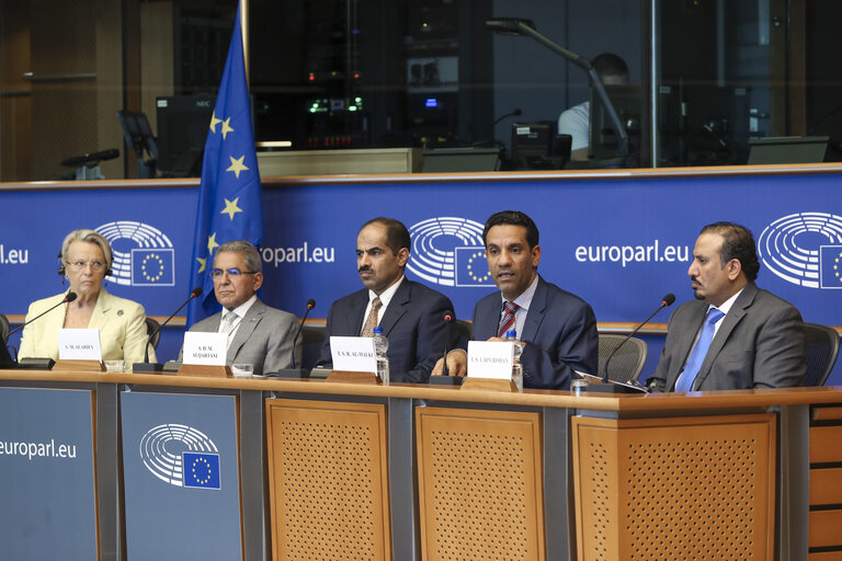 Foto 11: Meeting of the EP Delegation for Relations with the Arab Peninsula -Exchange of views with the Spokesperson for coalition forces in Yemen, on the current situation in Yemen