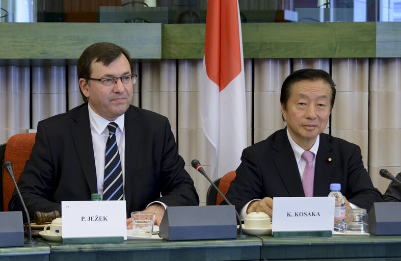 Foto 14: 35th EU-Japan Interparliamentary meeting (IPM)