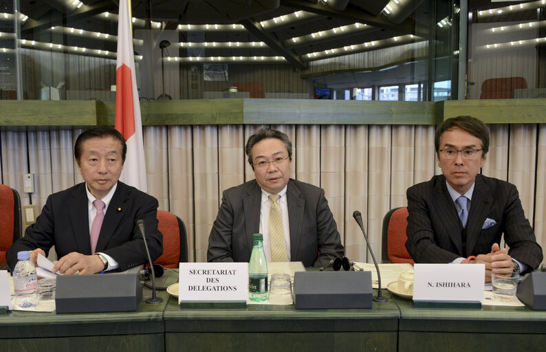 Zdjęcie 18: 35th EU-Japan Interparliamentary meeting (IPM)