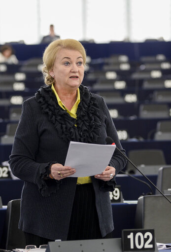Plenary session week 18 2015 in Strasbourg - Explanations of votes
