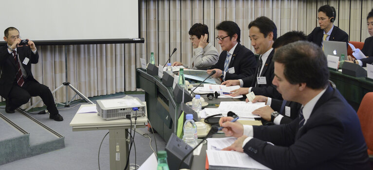 Foto 16: 35th EU-Japan Interparliamentary meeting (IPM)