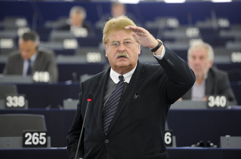 Снимка 26: Plenary Session week 41 2015 in Strasbourg  Statement by the Vice-President of the Commission/High Representative of the Union for Foreign Affairs and Security Policy - Situation in Syria    Statement by the Vice-President of the Commission/High Representative of the Union for Foreign Affairs and Security Policy - Situation in Turkey