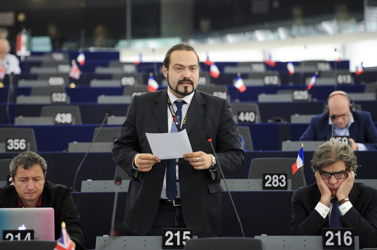 Снимка 23: Plenary Session week 41 2015 in Strasbourg  Statement by the Vice-President of the Commission/High Representative of the Union for Foreign Affairs and Security Policy - Situation in Syria    Statement by the Vice-President of the Commission/High Representative of the Union for Foreign Affairs and Security Policy - Situation in Turkey