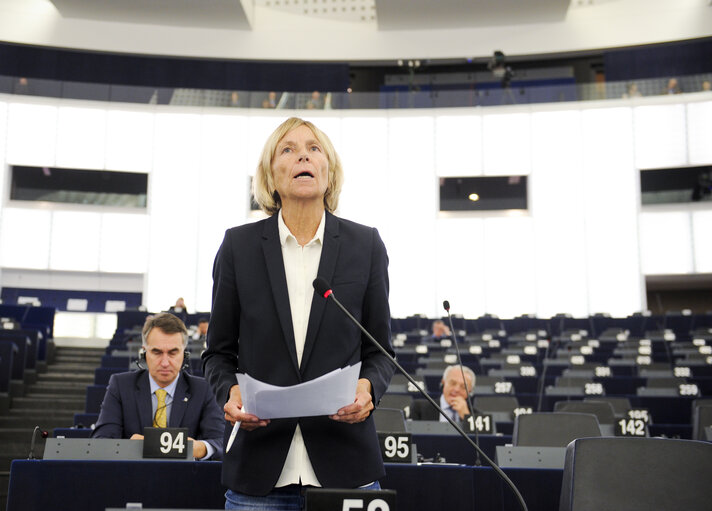 Plenary Session week 41 2015 in Strasbourg  Statement by the Vice-President of the Commission/High Representative of the Union for Foreign Affairs and Security Policy - Situation in Syria    Statement by the Vice-President of the Commission/High Representative of the Union for Foreign Affairs and Security Policy - Situation in Turkey