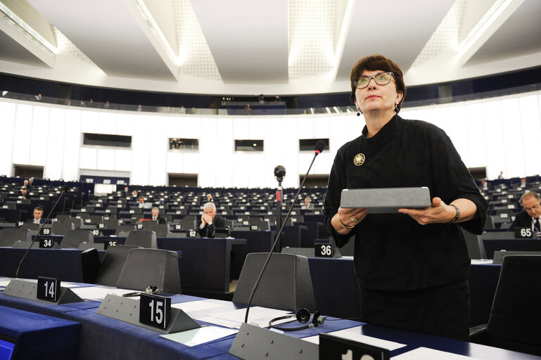 Снимка 2: Plenary Session week 41 2015 in Strasbourg  Statement by the Vice-President of the Commission/High Representative of the Union for Foreign Affairs and Security Policy - Situation in Syria    Statement by the Vice-President of the Commission/High Representative of the Union for Foreign Affairs and Security Policy - Situation in Turkey