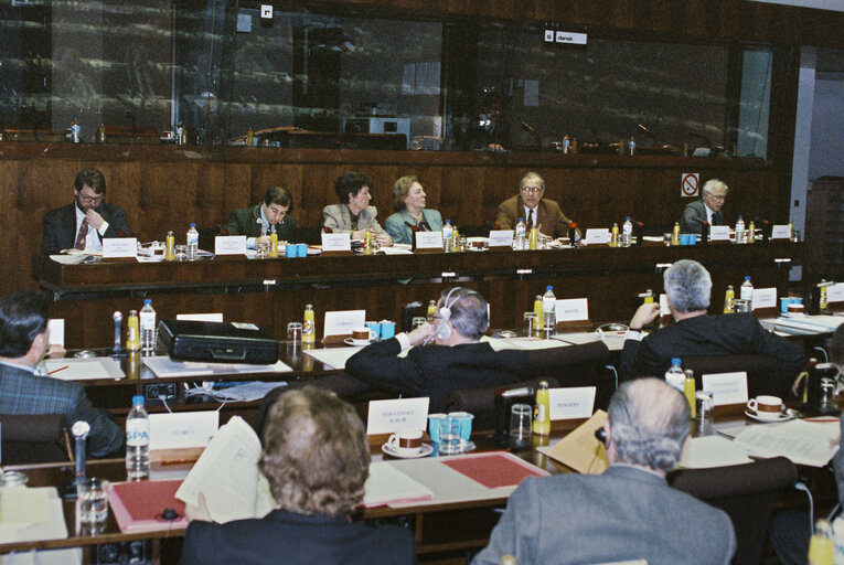 Committee on Foreign Affairs and Security