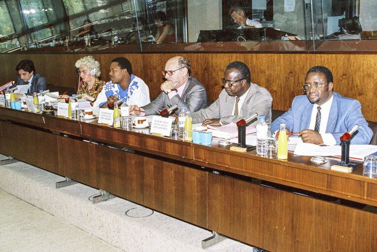 Joint Assembly of the Agreement between the African, Caribbean and Pacific States and the European Economic Community ( ACP-EEC ) meeting