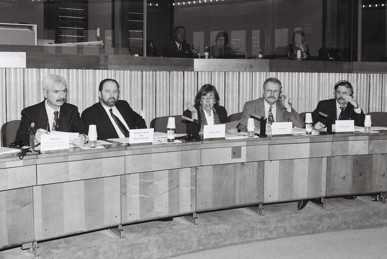 Meeting with the President of the Slovak Republic in Strasbourg in February 1993.