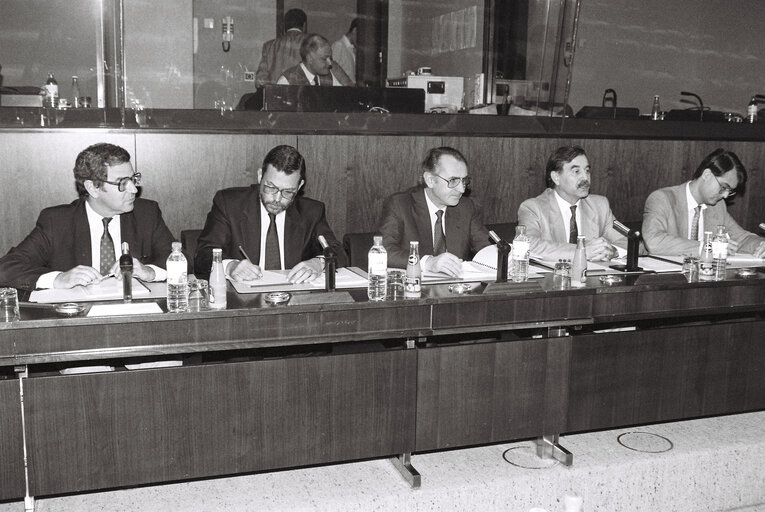 Zdjęcie 2: Meeting on agriculture at the EP in Strasbourg.