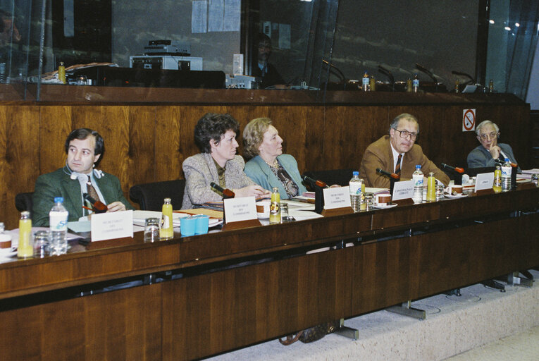 Committee on Foreign Affairs and Security