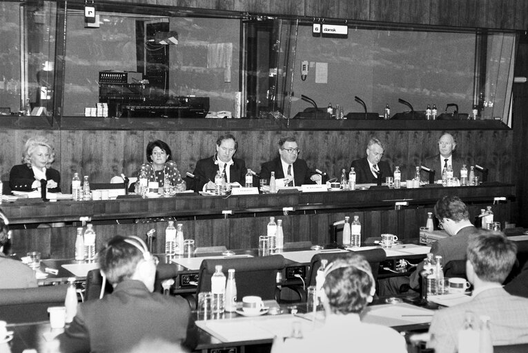 Meeting at the European Parliament in Brussels