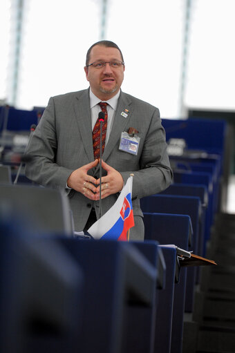 Fotografie 18: Plenary session week 11 2015 in Strasbourg - Explanation of votes