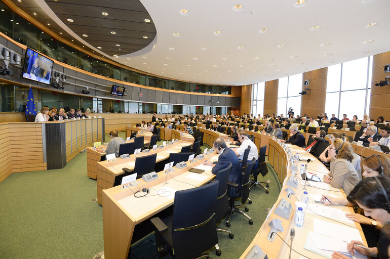 Photo 8: Extraordinary AFET meeting on Turkey