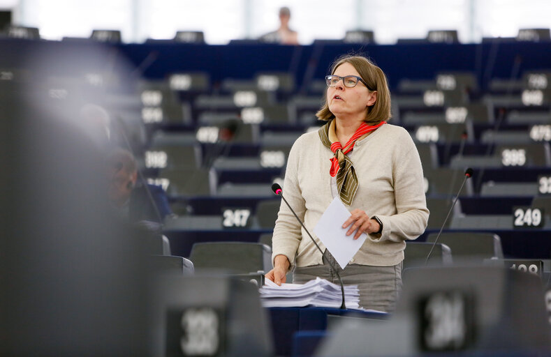 Photo 14 : Plenary session in Strasbourg - Week 27  2016. Myanmar, notably the situation of Rohingyas