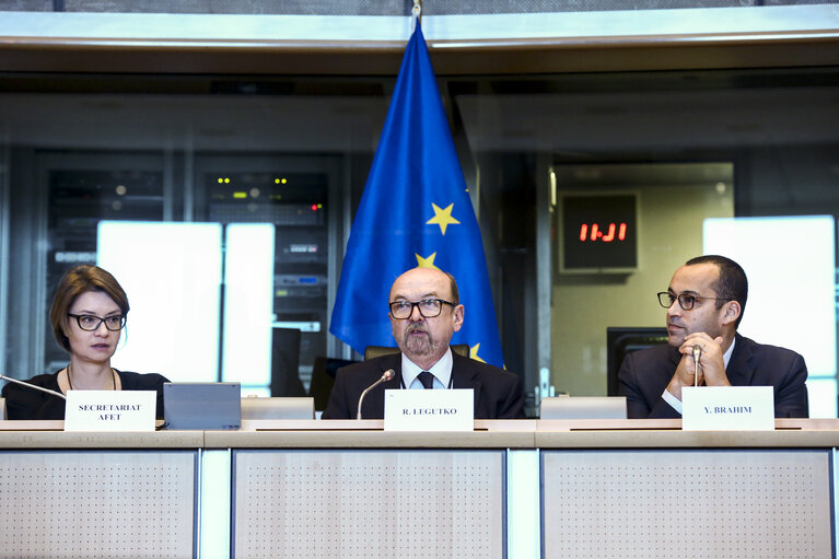 Photo 7: AFET committee meeting.  Exchange of views with Yassine BRAHIM - Minister for Investmen and International Cooperation and development of Tunisia.