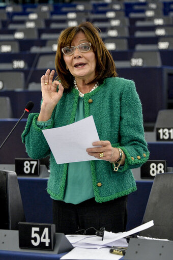 Fotografie 19: Plenary session week 51 2015 in Strasbourg - Preparation of the European Council meeting of 17 and 18 December 2015  Council and Commission statements