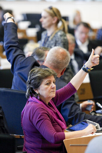 Fotogrāfija 9: ECON/BUDG Joint Committee Meeting - vote on the Juncker investment plan