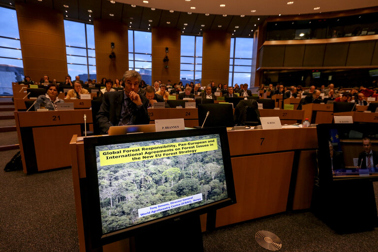 Suriet 14: AGRI Hearing  A new EU Forest Strategy: for forests and the forest-based sector