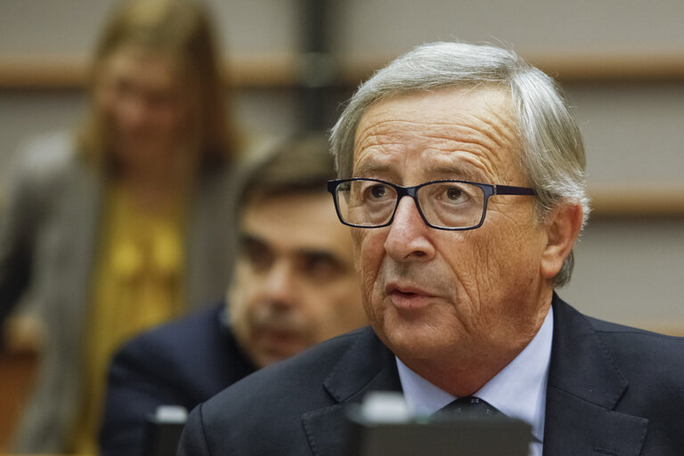 Billede 35: Plenary session in Brussels - week 46 2014 - EP President Opening of the Plenary: 25th anniversary of the fall of the Berlin wall.  Statement by the President