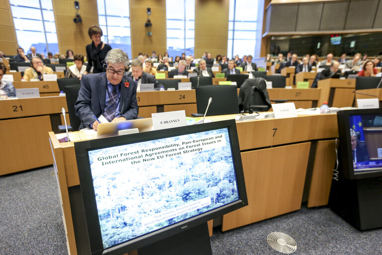 Photo 16 : AGRI Hearing  A new EU Forest Strategy: for forests and the forest-based sector