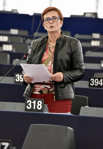 Plenary session week 43 2014 in strasbourg - European IS fighters