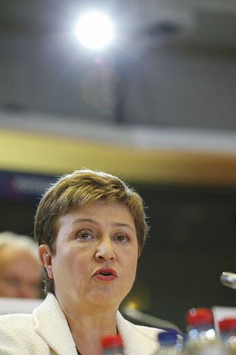 Foto 6: Hearing of Commissioner-designate for Budget and Human Ressources - BUDG - CONT