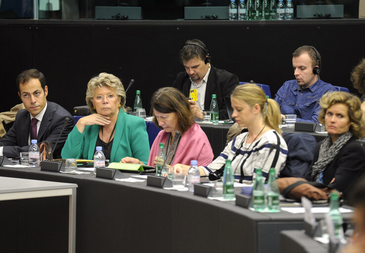 Fotografi 18: Public Hearing on Hungary's Media Laws: Freedom of  expression under threat?